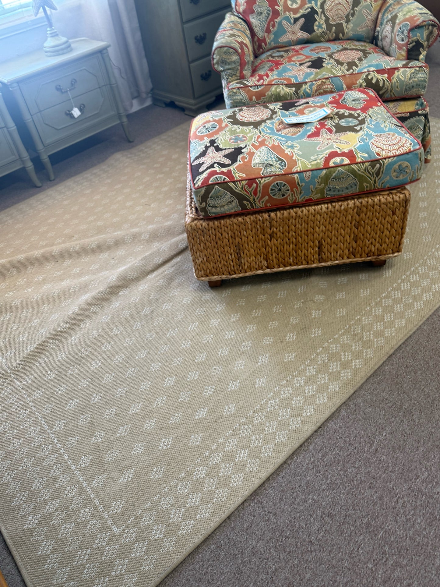 Tan Rug