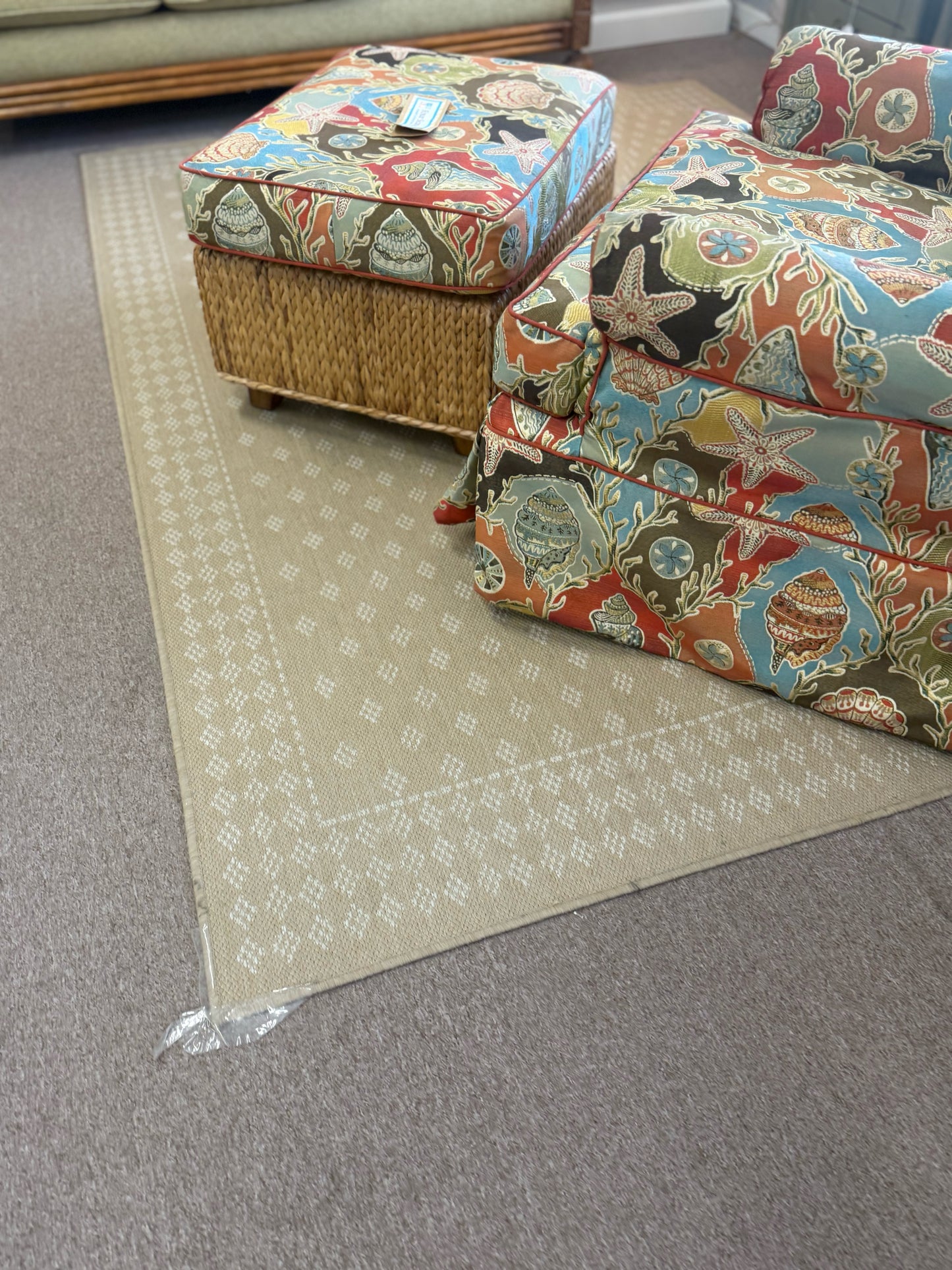 Tan Rug
