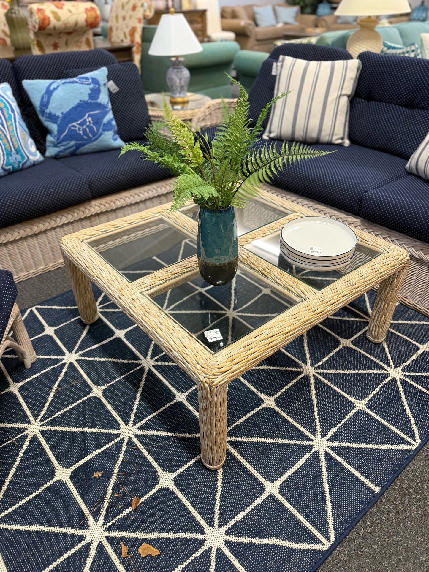 Navy and Cream Outdoor Rug