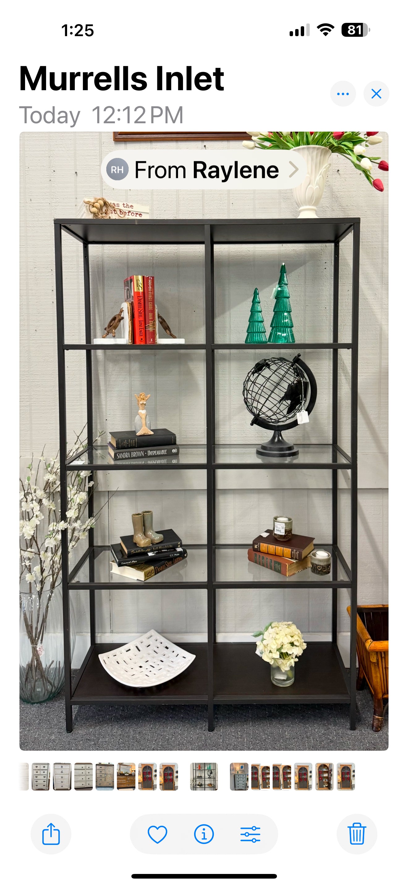 Glass and Black Metal Bookcase